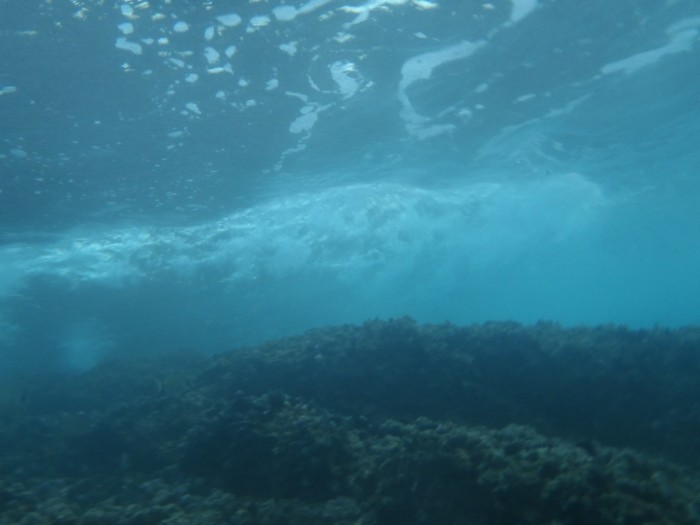 研究称水下“雪崩”将微塑料废弃物转移到深...(图4)