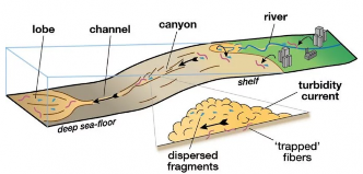 研究称水下“雪崩”将微塑料废弃物转移到深...(图5)