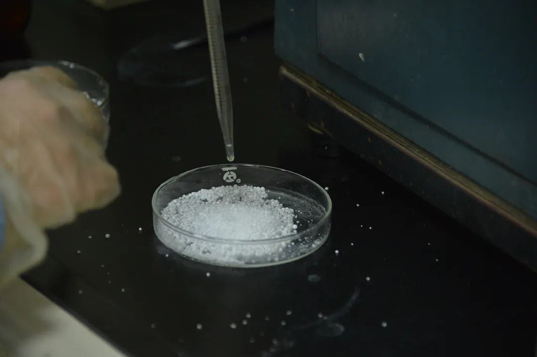 NB,石家庄炼化成功产出熔指400聚丙烯熔喷...(图14) NB,石家庄炼化成功产出熔指400聚丙烯熔喷...(图14)