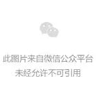 知道吗？ 5G汽车时代，日韩企业纷纷抢占这...(图4)