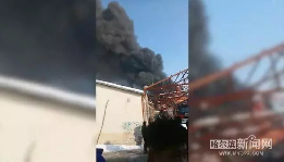 1582095640401406.png 哈尔滨一塑料颗粒厂仓库起火 消防救援数小时(图5)