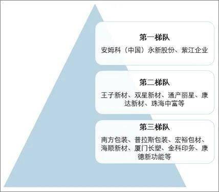中国塑料包装行业竞争格局分析！开发与推广...(图9)