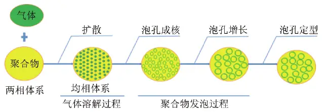 特种工程塑料泡沫的制备新技术—超临界流体...(图6) 特种工程塑料泡沫的制备新技术—超临界流体...(图6)