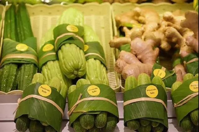 盘点 | 几种可生物降解塑料的性能与应用比较...(图8)