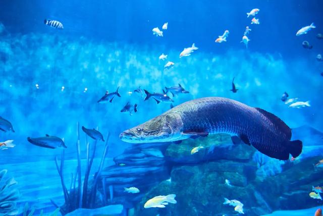 一文了解世界各国生物降解检测方法与标准体...(图6)