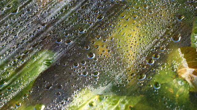 一文了解世界各国生物降解检测方法与标准体...(图14)