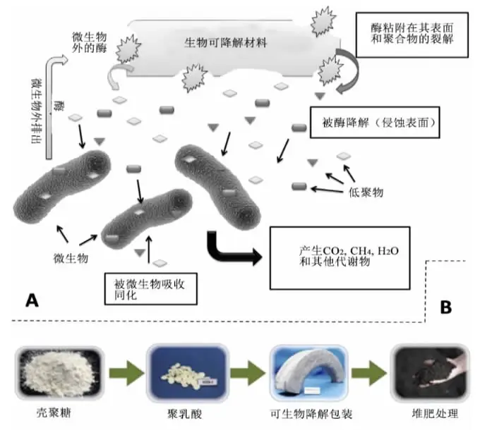 全球禁塑浪潮下,国内外生物降解材料发展得...(图4) 全球禁塑浪潮下,国内外生物降解材料发展得...(图4)