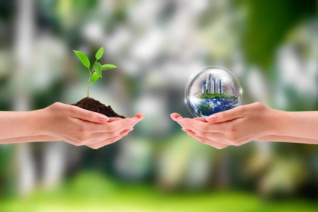 生物基及可降解市场是蓝海？红海？(图5)