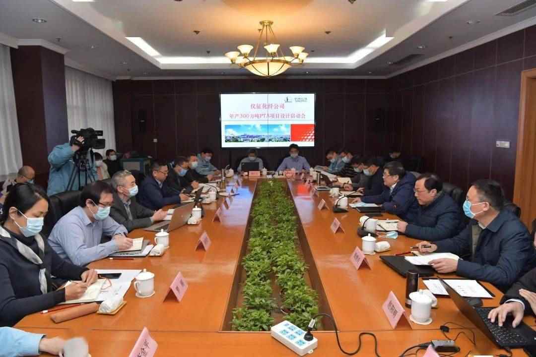 300万吨/年，中石化仪征化纤采用英威达PT...(图4)