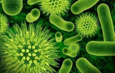 生物塑料？生物基塑料？生物降解塑料？别懵...(图5)