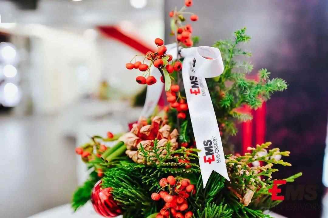 现场有多红，气氛有多浓！艾曼斯新能源汽车...(图9)