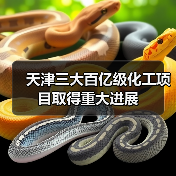 天津三大百亿级化工项目取得重大进展（图2）
