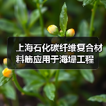 上海石化碳纤维复合材料筋应用于海堤工程(图4) 上海石化碳纤维复合材料筋应用于海堤工程(图4)