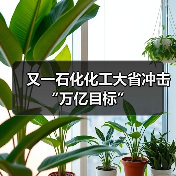 又一石化化工大省冲击“万亿目标”（图2）