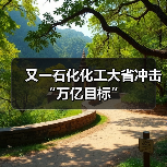 又一石化化工大省冲击“万亿目标”（图4）