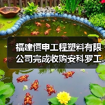 福建恒申工程塑料有限公司完成收购安科罗工...（图1）