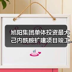 旭阳集团单体投资最大己内酰胺扩建项目竣工...（图4）