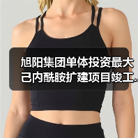 旭阳集团单体投资最大己内酰胺扩建项目竣工...（图3）