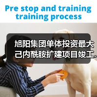 旭阳集团单体投资最大己内酰胺扩建项目竣工...（图1）