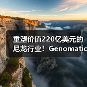 重塑价值220亿美元的尼龙行业！Genomatica...（图1）