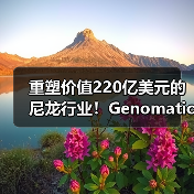 重塑价值220亿美元的尼龙行业！Genomatica...（图4）