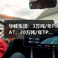 华峰集团：3万吨/年PBAT、20万吨/年TP...（图3）