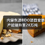 内蒙东源BDO项目变更 产能提升至28万吨（图4）