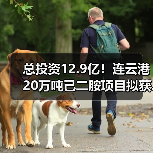 总投资12.9亿!连云港20万吨己二胺项目拟获...(图1) 总投资12.9亿!连云港20万吨己二胺项目拟获...(图1)