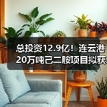 总投资12.9亿!连云港20万吨己二胺项目拟获...(图4) 总投资12.9亿!连云港20万吨己二胺项目拟获...(图4)