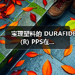 宝理塑料的 DURAFIDE (R) PPS在...（图2）