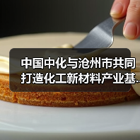 中国中化与沧州市共同打造化工新材料产业基...（图2）