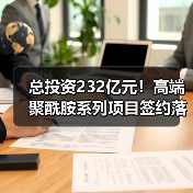 总投资232亿元！高端聚酰胺系列项目签约落地...（图1）