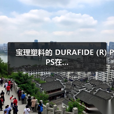 宝理塑料的 DURAFIDE (R) PPS在...（图4）