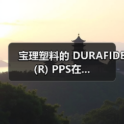 宝理塑料的 DURAFIDE (R) PPS在...（图3）