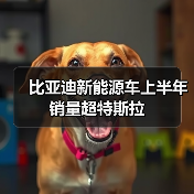 比亚迪新能源车上半年销量超特斯拉（图4）
