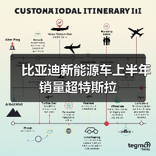 比亚迪新能源车上半年销量超特斯拉（图2）