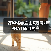 万华化学眉山6万吨/年PBAT项目试产(图4) 万华化学眉山6万吨/年PBAT项目试产(图4)