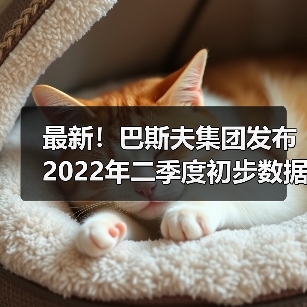 最新！巴斯夫集团发布2022年二季度初步数据（图4）