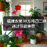 福建永荣30万吨己二腈通过节能审查(图4) 福建永荣30万吨己二腈通过节能审查(图4)