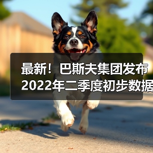 最新！巴斯夫集团发布2022年二季度初步数据（图2）
