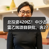 总投资420亿!中沙古雷乙烯项目获批,含27万...(图3) 总投资420亿!中沙古雷乙烯项目获批,含27万...(图3)