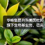 华峰集团并购美国杜邦旗下生物基业务，已完...（图3）