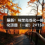 最新！裕龙岛炼化一体化项目（一期）2#150万...（图3）