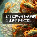 SABIC开发多种含有再生成分的特种工程...(图4) SABIC开发多种含有再生成分的特种工程...(图4)