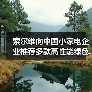 索尔维向中国小家电企业推荐多款高性能绿色...(图2) 索尔维向中国小家电企业推荐多款高性能绿色...(图2)