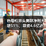 色母粒龙头美联净利大增51%,募资4.6亿进入...(图2) 色母粒龙头美联净利大增51%,募资4.6亿进入...(图2)