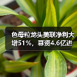 色母粒龙头美联净利大增51%,募资4.6亿进入...(图4) 色母粒龙头美联净利大增51%,募资4.6亿进入...(图4)