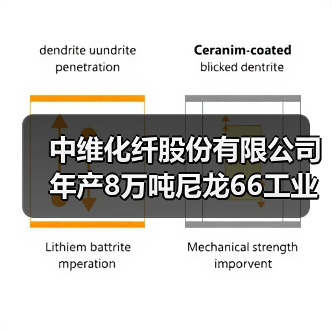 中维化纤股份有限公司年产8万吨尼龙66工业品...(图3) 中维化纤股份有限公司年产8万吨尼龙66工业品...(图3)