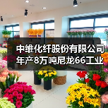 中维化纤股份有限公司年产8万吨尼龙66工业品...(图4) 中维化纤股份有限公司年产8万吨尼龙66工业品...(图4)