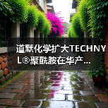 道默化学扩大TECHNYL®聚酰胺在华产...(图3) 道默化学扩大TECHNYL®聚酰胺在华产...(图3)